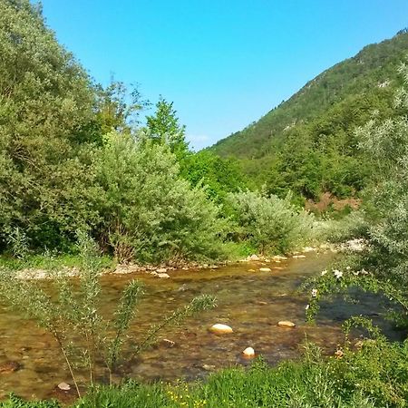 Kamp Vrbnica Otel Plužine Dış mekan fotoğraf