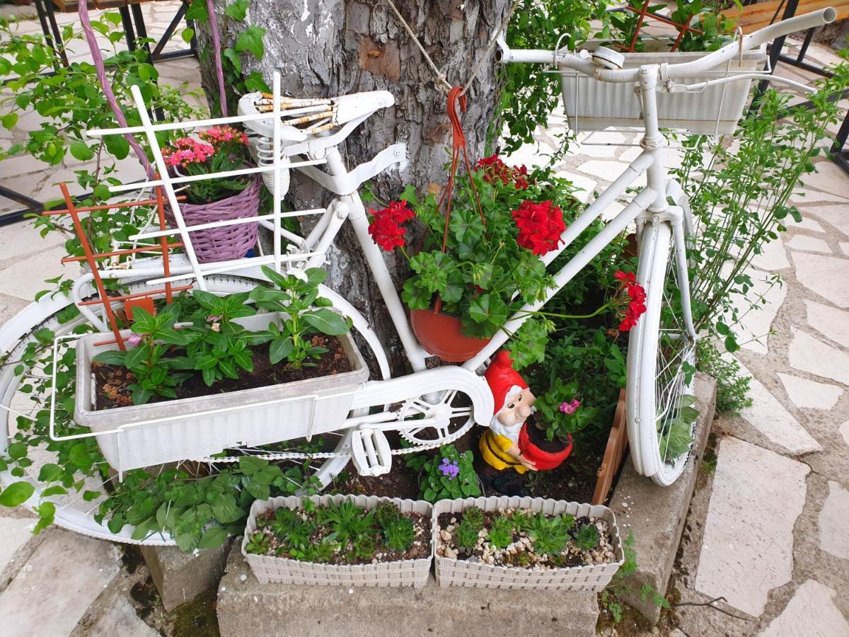 Kamp Vrbnica Otel Plužine Dış mekan fotoğraf