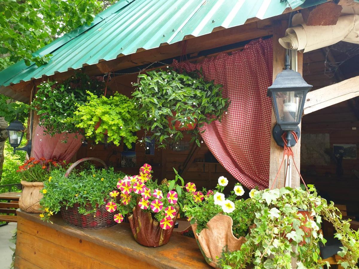 Kamp Vrbnica Otel Plužine Dış mekan fotoğraf