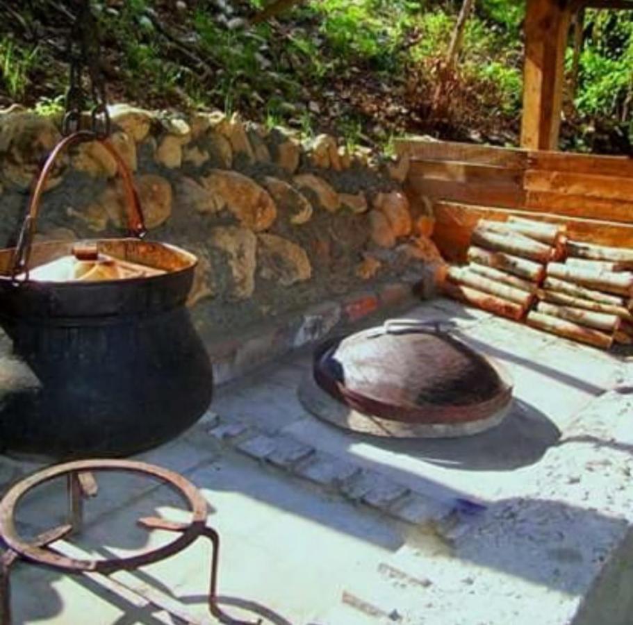 Kamp Vrbnica Otel Plužine Dış mekan fotoğraf