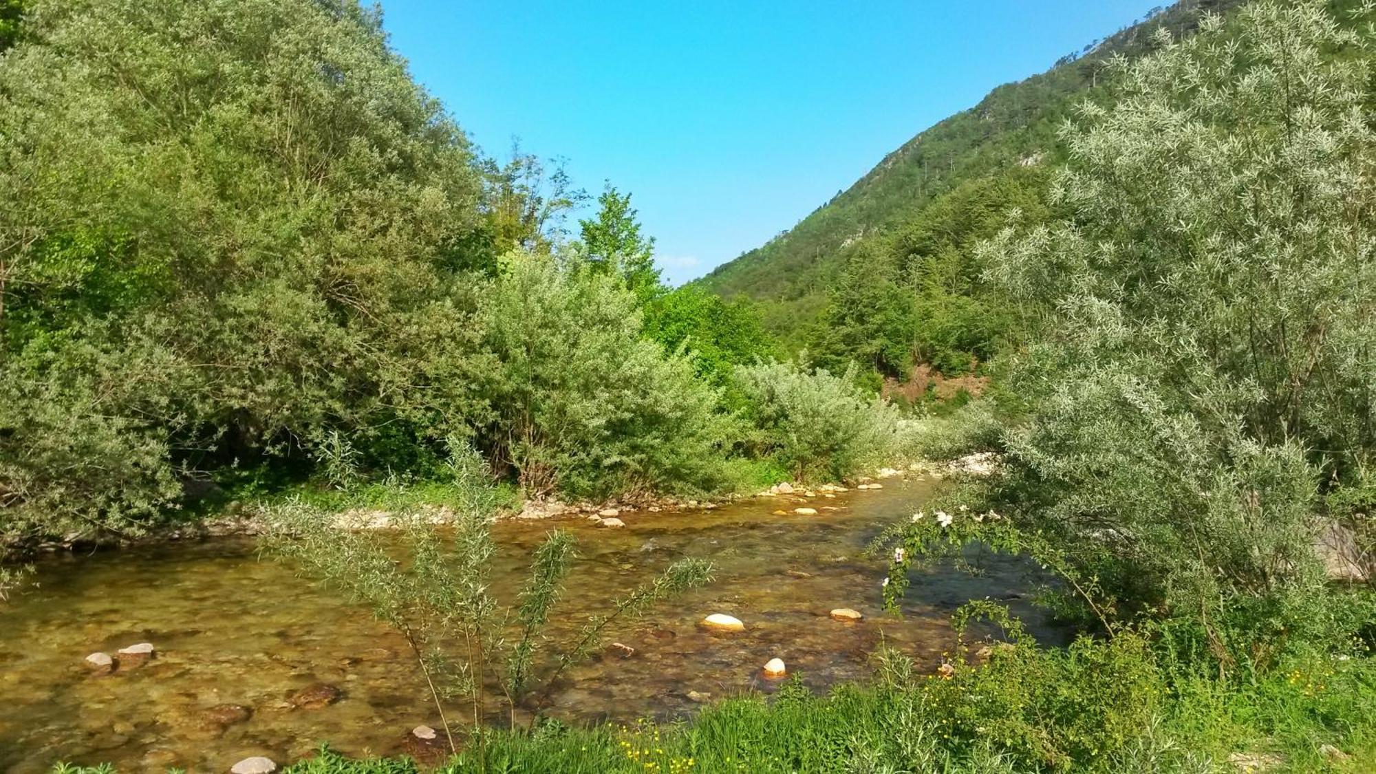 Kamp Vrbnica Otel Plužine Dış mekan fotoğraf